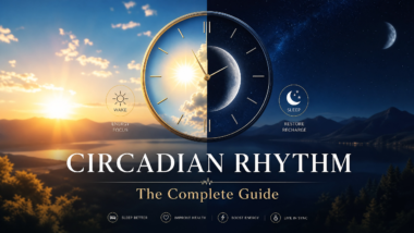 circadian rhythm problems